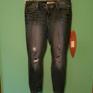 Torrid Jeans